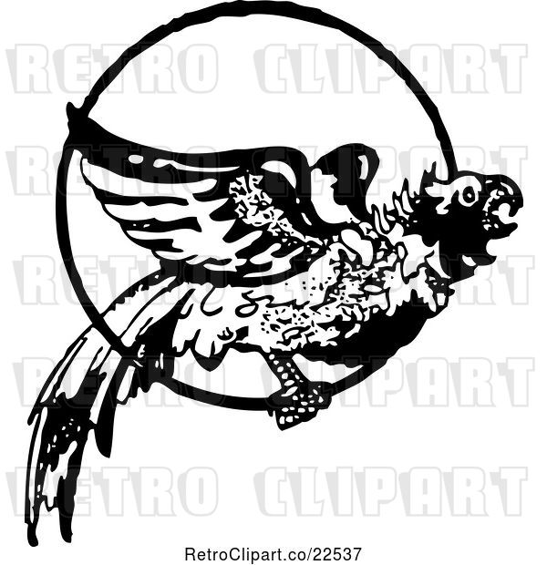 Vector Clip Art of Retro Parrot in a Ring 2