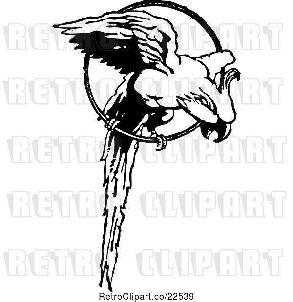 Vector Clip Art of Retro Parrot in a Ring