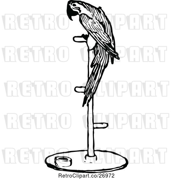 Vector Clip Art of Retro Parrot on a Perch