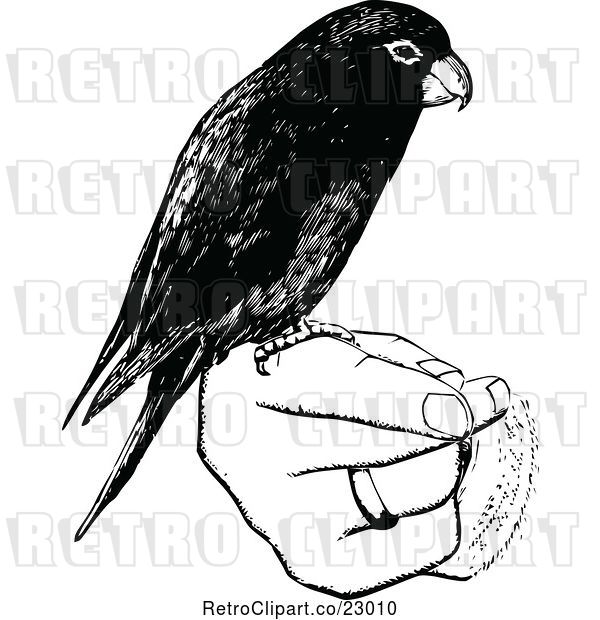 Vector Clip Art of Retro Parrot Perched on a Hand