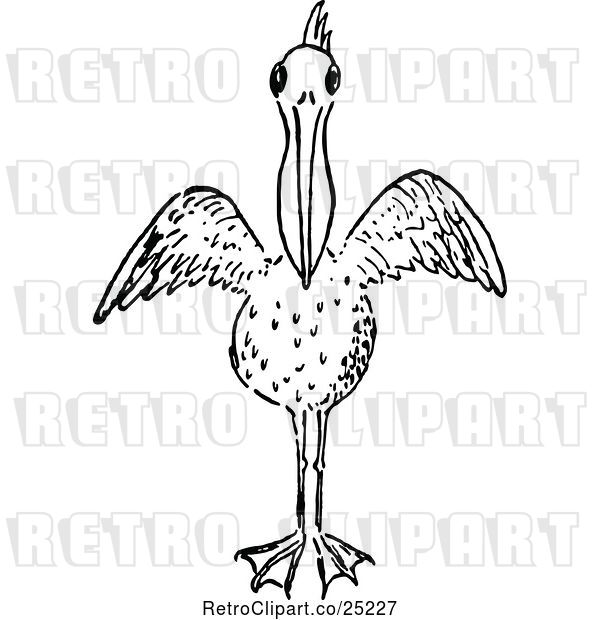 Vector Clip Art of Retro Pelican