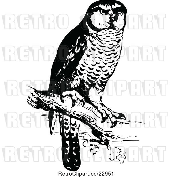 Vector Clip Art of Retro Perched Owl