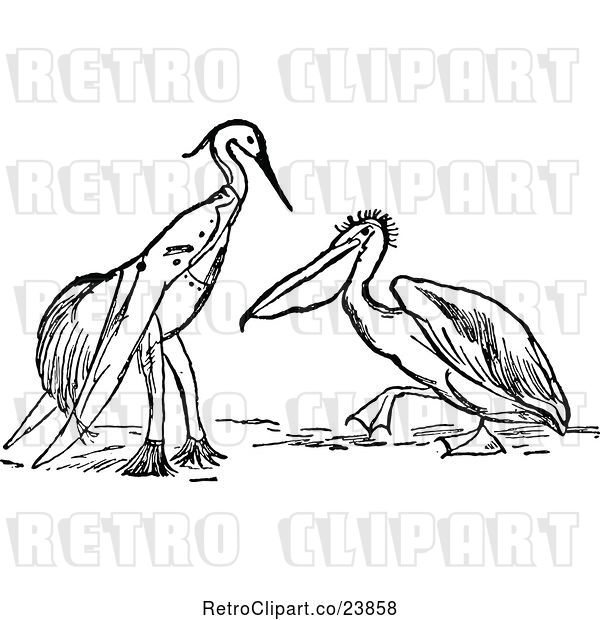 Vector Clip Art of Retro Perched Stork Dressed in Clothes and Pelican