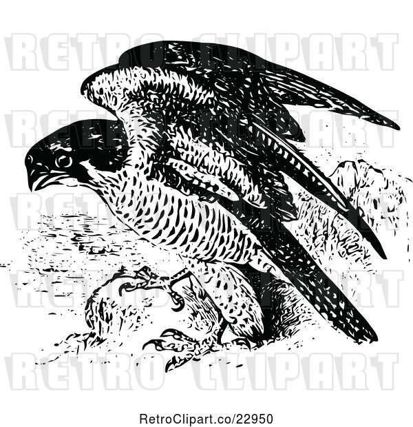 Vector Clip Art of Retro Peregrine Falcon