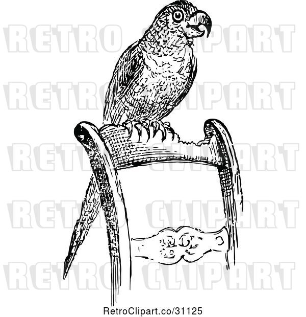Vector Clip Art of Retro Pet Parrot on a Chair
