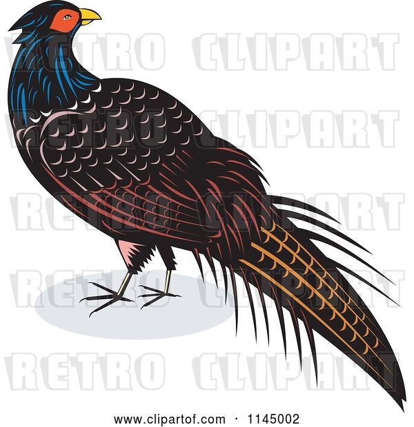 Vector Clip Art of Retro Pheasant Bird