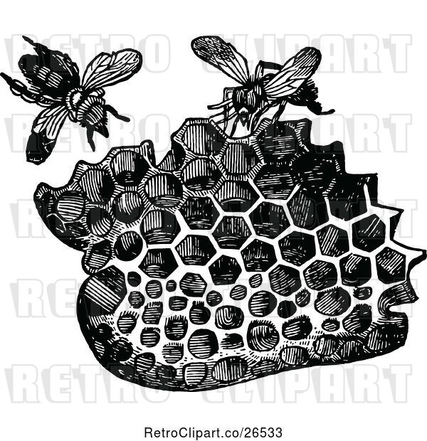 Vector Clip Art of Retro Piece of Honeycomb and Bees