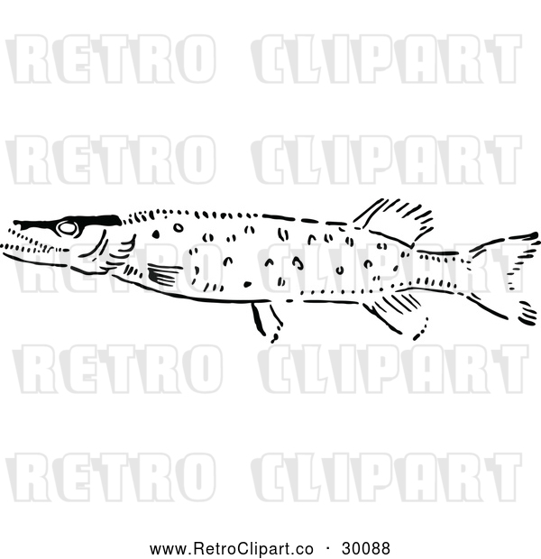 Vector Clip Art of Retro Pike Fish