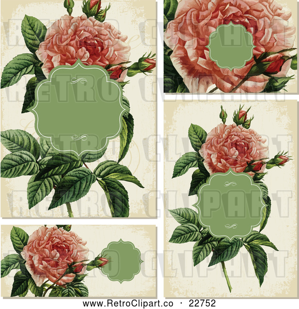 Vector Clip Art of Retro Pink Rose Invitation Designs