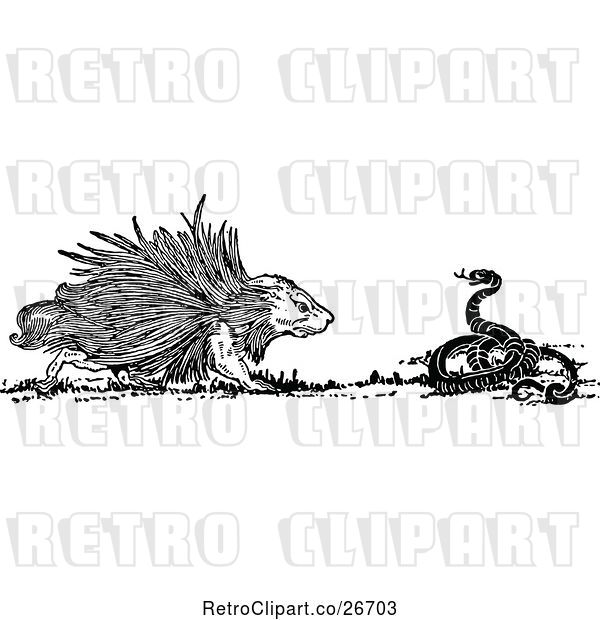 Vector Clip Art of Retro Porcupine and Snake