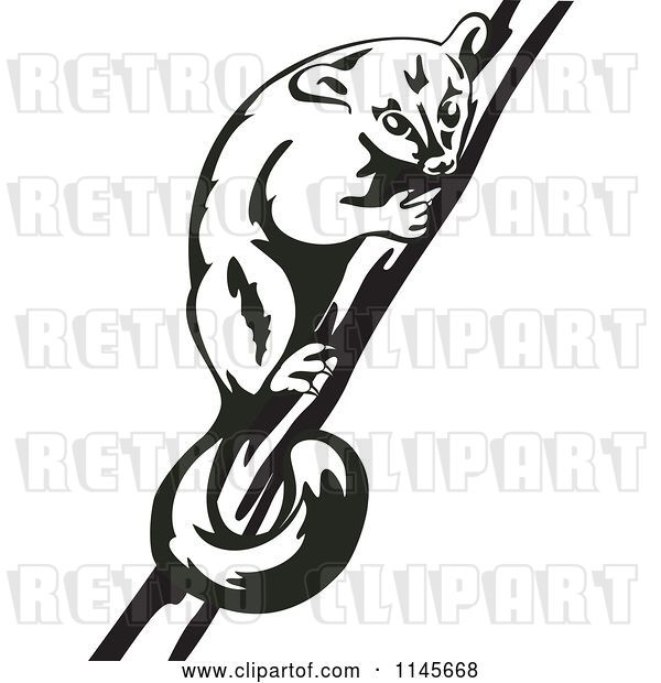 Vector Clip Art of Retro Possum on a Branch