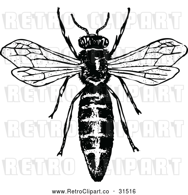 Vector Clip Art of Retro Queen Bee