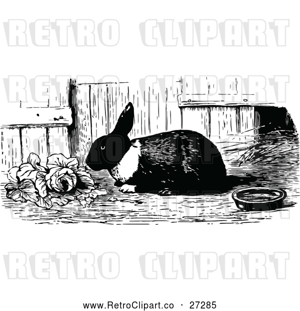 Vector Clip Art of Retro Rabbit Eating Lettuce