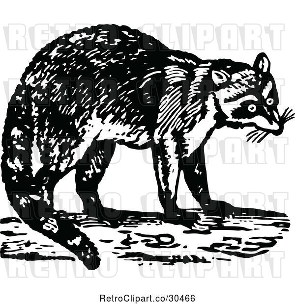 Vector Clip Art of Retro Raccoon