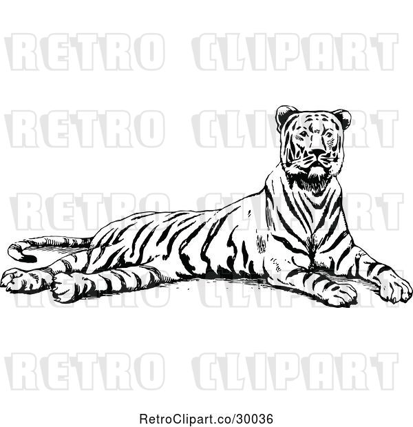 Vector Clip Art of Retro Resting Tiger