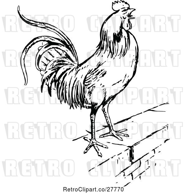 Vector Clip Art of Retro Rooster on a Wall