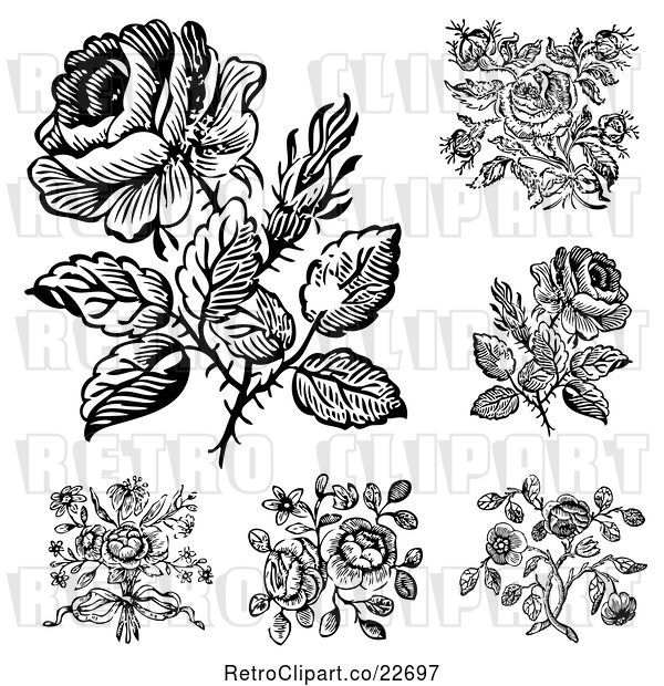 Vector Clip Art of Retro Rose Designs