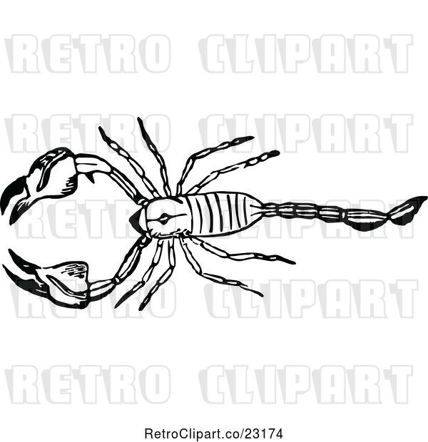 Vector Clip Art of Retro Scorpion 1