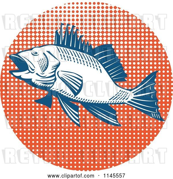 Vector Clip Art of Retro Sea Bass Fish over Orange Halftone