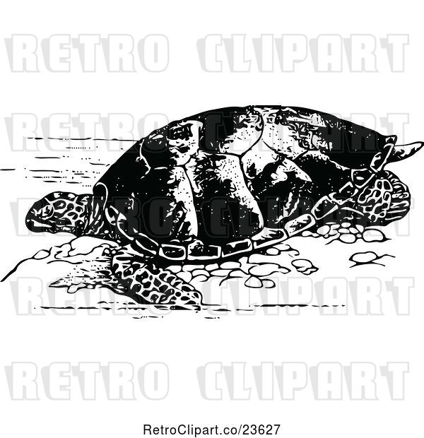 Vector Clip Art of Retro Sea Turtle