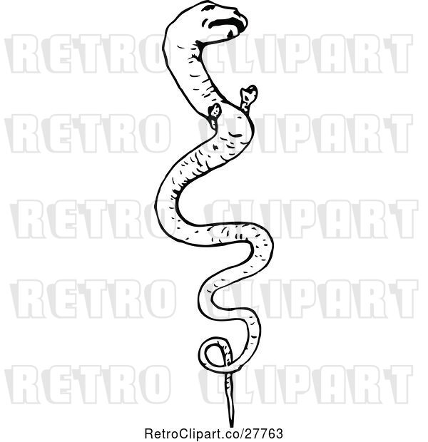 Vector Clip Art of Retro Serpent
