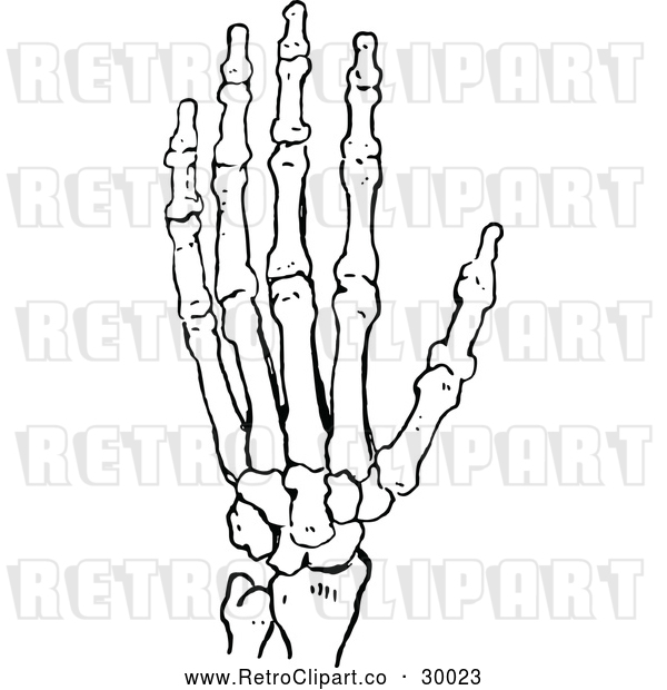 Vector Clip Art of Retro Skeleton Hand