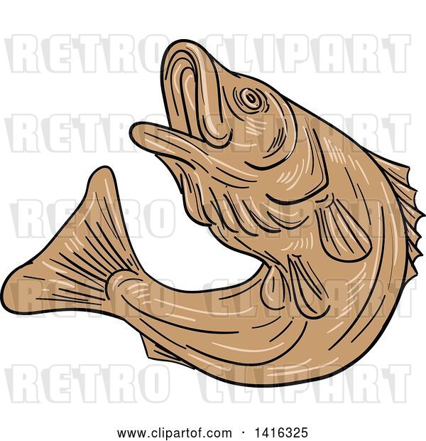 Vector Clip Art of Retro Sketched Brown Jumping Rockfish