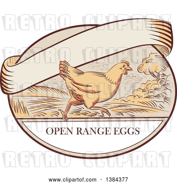 Vector Clip Art of Retro Sketched Chicken Running on a Label with Open Range Text and a Blank Ribbon Banner
