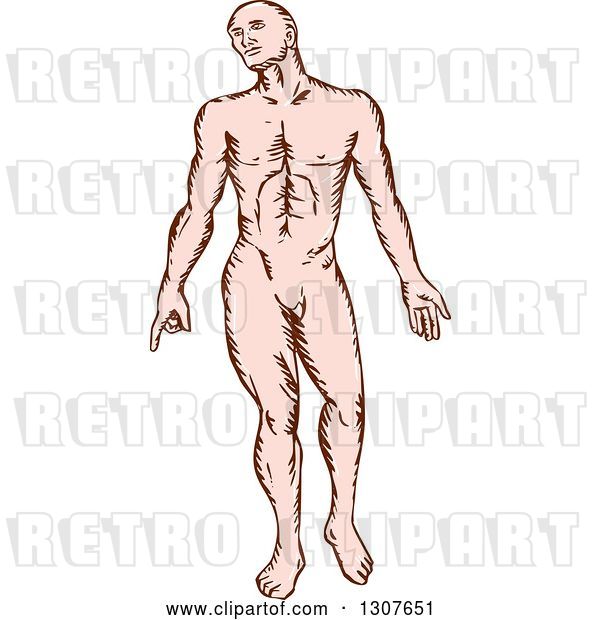 Vector Clip Art of Retro Sketched Nude White Guy