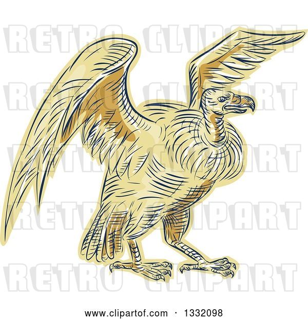 Vector Clip Art of Retro Sketched or Engraved Turkey Vulture Buzzard Condor Bird