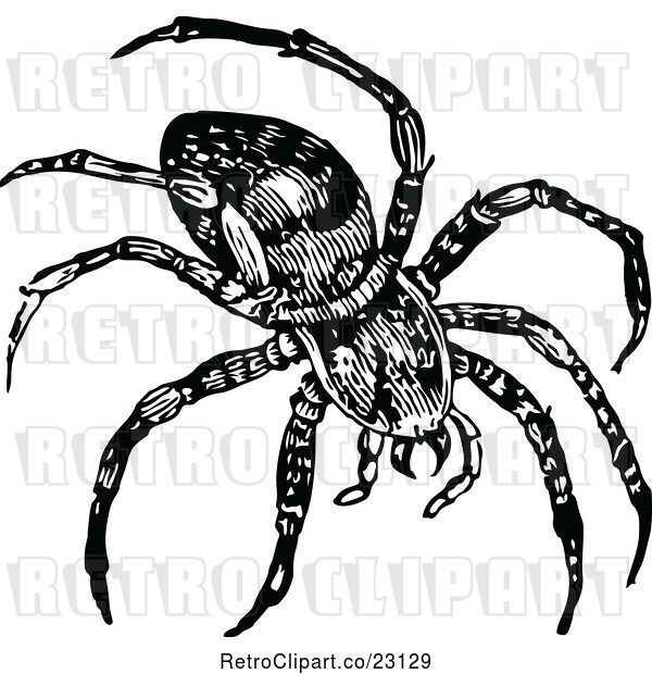 Vector Clip Art of Retro Spider