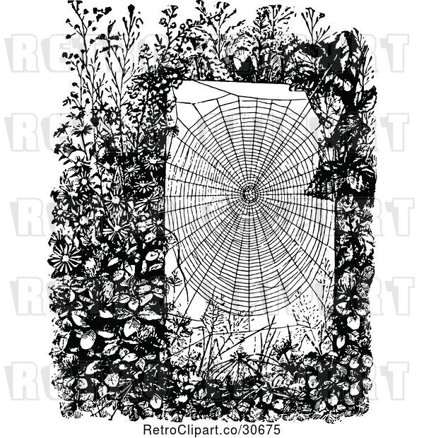 Vector Clip Art of Retro Spider Web in a Garden