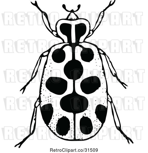 Vector Clip Art of Retro Spotted Beetle