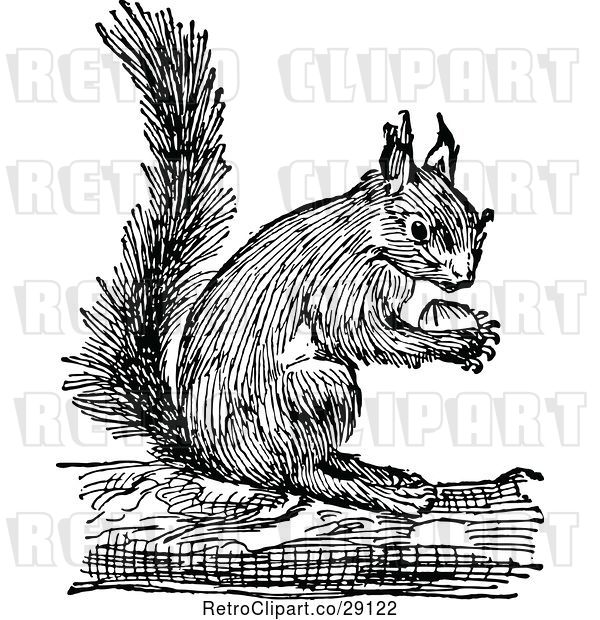 Vector Clip Art of Retro Squirrel Holding a Nut 2