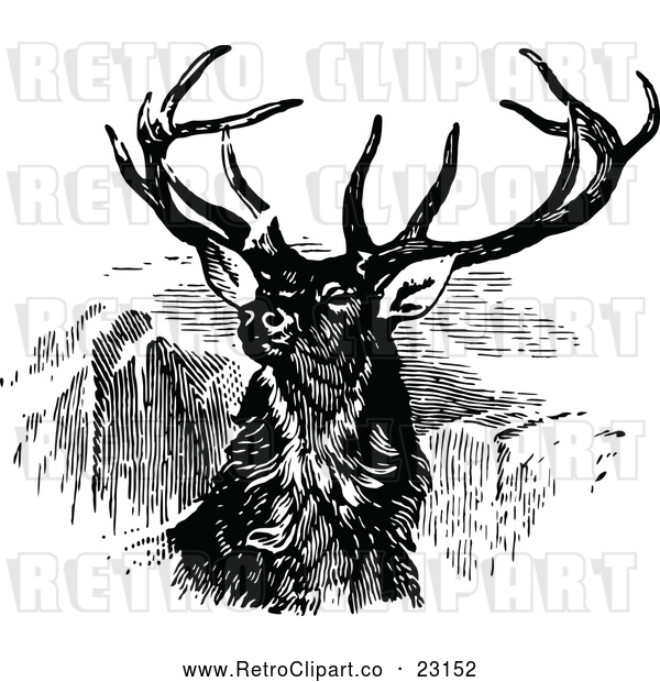 Vector Clip Art of Retro Stag Buck Deer with Antlers 2