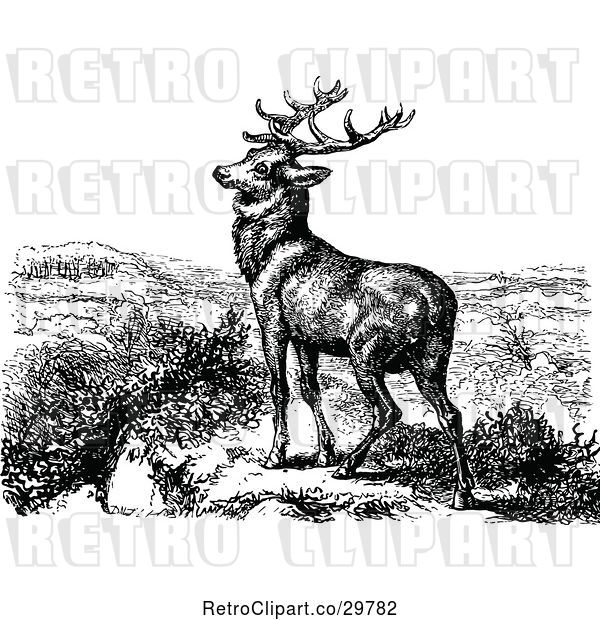 Vector Clip Art of Retro Stag Deer