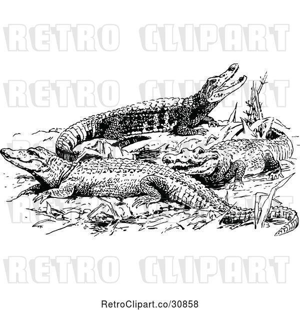 Vector Clip Art of Retro Sun Bathing Alligators