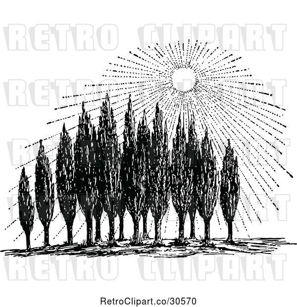 Vector Clip Art of Retro Sun Shining down on Cypress Trees
