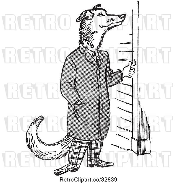 Vector Clip Art of Retro Teenage Boy Depicted As a Wolf, Ringing a Doorbell
