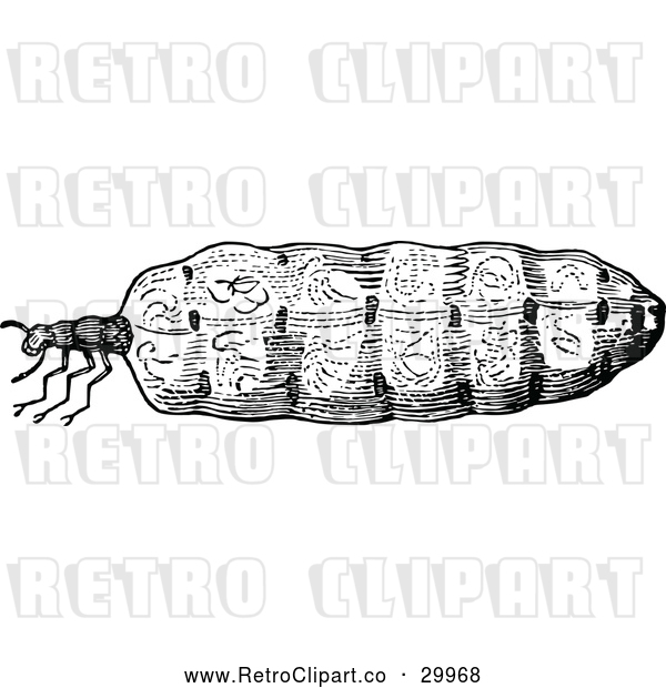 Vector Clip Art of Retro Termite Queen