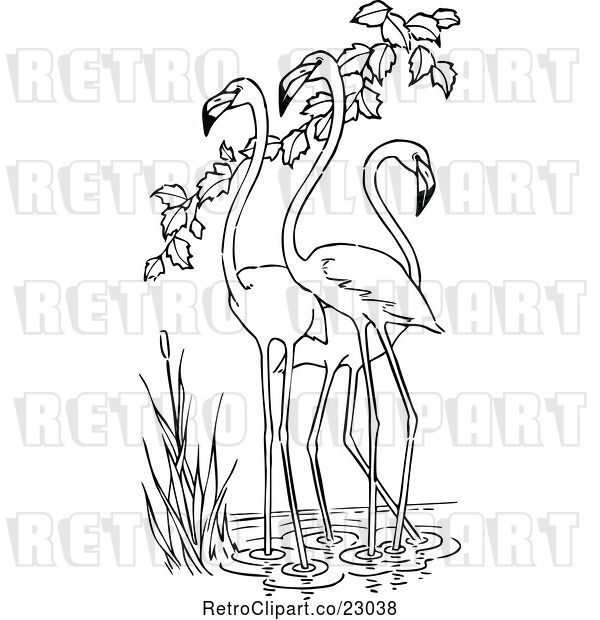 Vector Clip Art of Retro Three Wading Flamingos