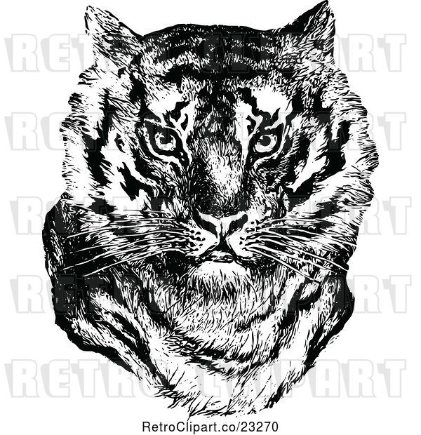 Vector Clip Art of Retro Tiger Face