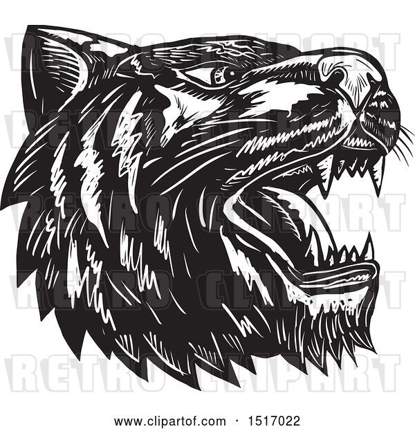 Vector Clip Art of Retro Tiger Head Roaring, in Woodcut