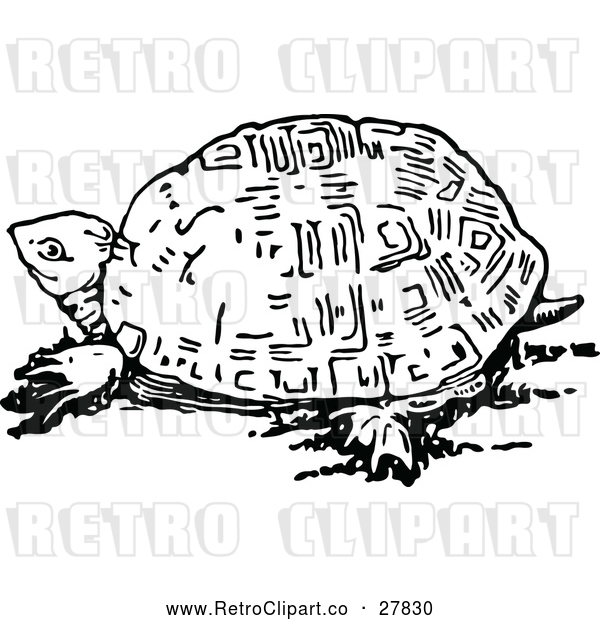 Vector Clip Art of Retro Tortoise