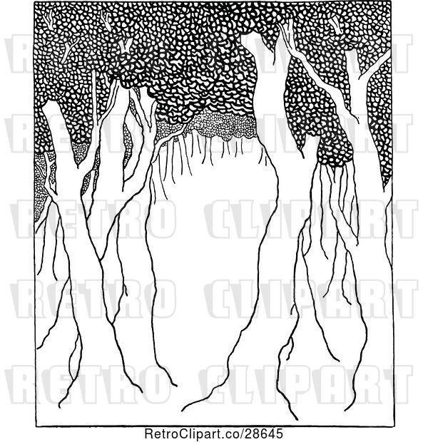 Vector Clip Art of Retro Trees in a Forest