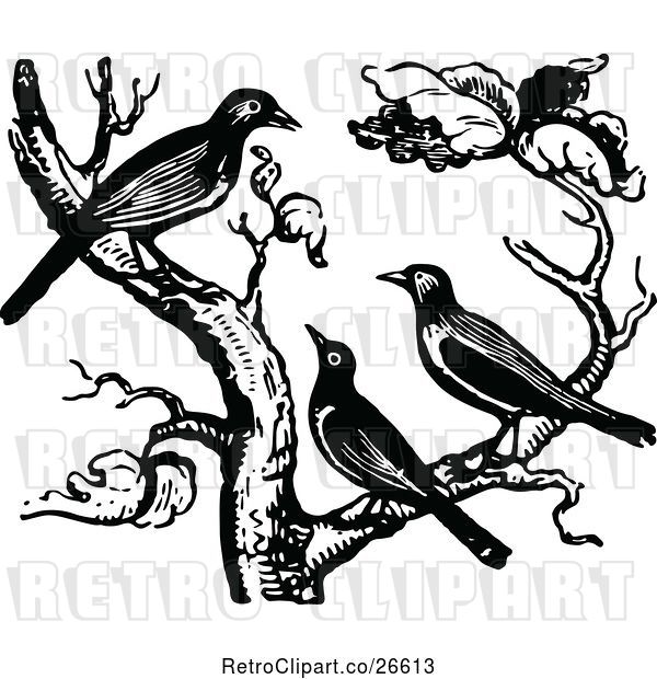Vector Clip Art of Retro Trio of Birds in a Tree