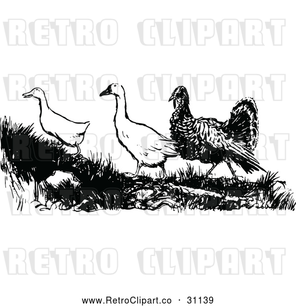 Vector Clip Art of Retro Turkey with Geese
