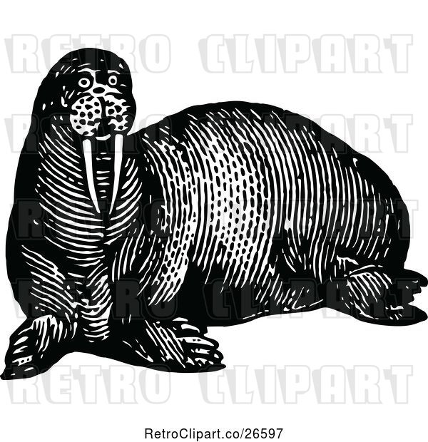 Vector Clip Art of Retro Walrus