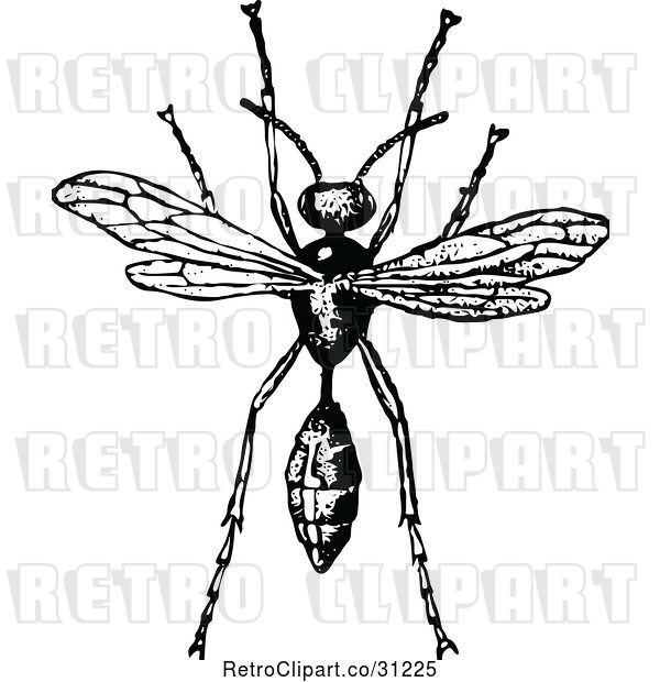 Vector Clip Art of Retro Wasp