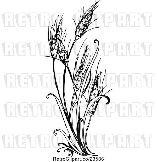 Vector Clip Art of Retro Wheat Plant